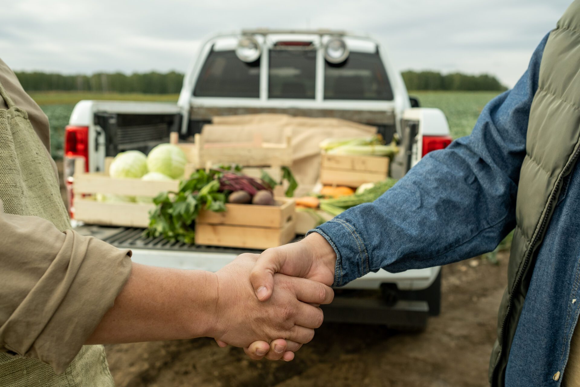 Hands of two farmers shaking hands against car trunk with harvest